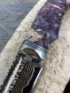 Нож Варан дамаск ламинированный с воронением, дол, рукоять березовый кап стабилизированный, мокуме-гане