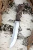 Нож Овод 2 Х12МФ цельнометаллический карельская береза коричневая (Coutellia)