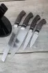 Кухонный набор из 4 ножей сталь КН-01 с никелем рукоять черный граб и стабилизированная карельская береза фиолетовая подставка акрил черный и карельская береза фиолетовая