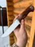 Нож Беркут сталь Elmax железное дерево