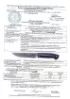 Нож Засапожный дамаск торцевой карельская береза кость мамонта мокуме-гане на подставке