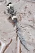 Эксклюзивный нож