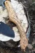 Топор-42 варка металлов углерод+ХВГ ясень резной