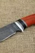 Нож Ежик 2 дамаск рукоять падук черный граб