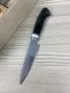 Набор из 5 кухонных ножей из дамасской стали с никелированием в футляре