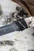 Нож Боец дамаск торцевой черный граб рог лося резной (Coutellia)