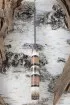 Нож Боец булат береста рог лося (Coutellia)