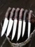 Кухонный набор из 6 ножей сталь 95х18 рукоять карельская береза коричневая (распродажа) 