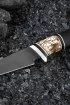 Нож Ласка Х12МФ черный граб рог лося (Coutellia)