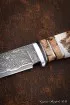 Нож Засапожный дамаск ламинированный рукоять карельская береза рог лося