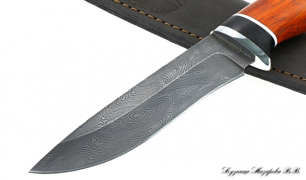 Knife Falcon Damascus black hornbeam paduk