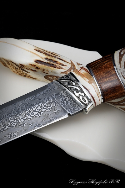Knife Boar Damascus stainless mammoth bone iron wood walrus tusk carved nickel silver on a stand