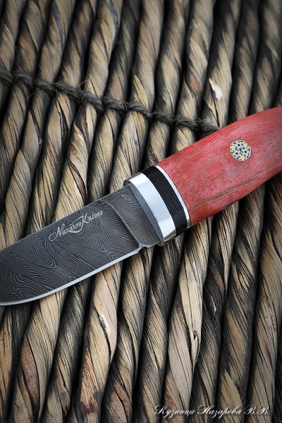 Knife Mole Damascus stabilized Karelian birch red (Sicac)