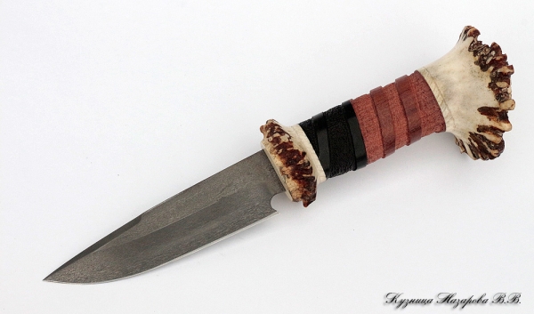 Knife Bison H12MF black hornbeam bubinga elk horn auth