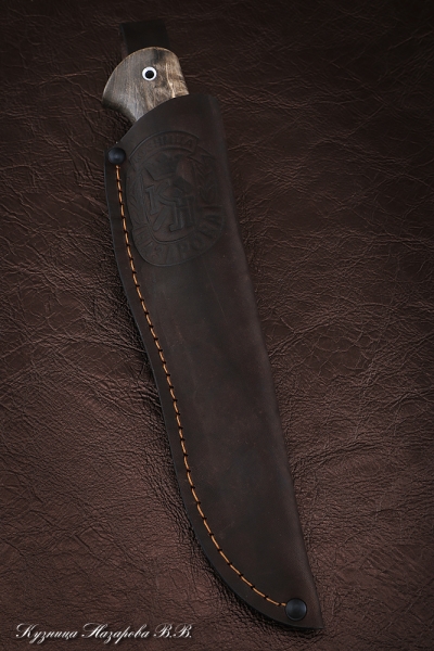 Knife Falcon wootz steel Karelian birch brown acrylic