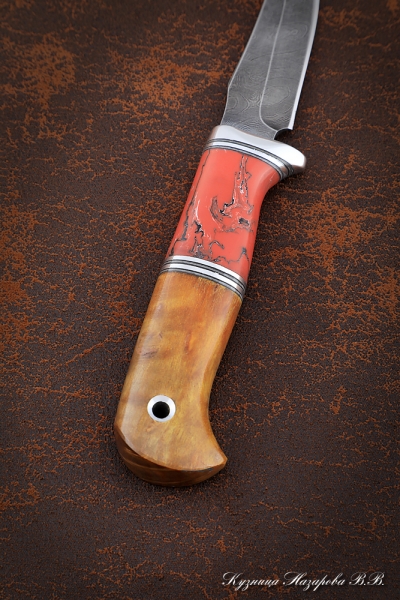 Knife Kid-2, Damascus, handle Karelian birch amber, acrylic red