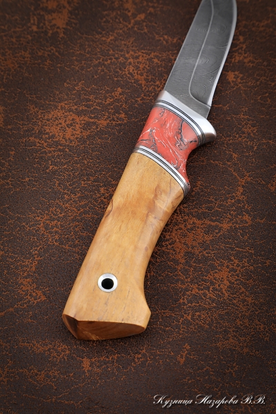 Knife Kid-1, Damascus, handle Karelian birch amber, acrylic red
