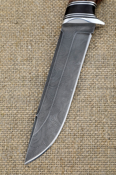 Knife Boar Damascus handle Karelian birch brown black hornbeam