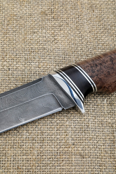 Knife Boar Damascus handle Karelian birch brown black hornbeam