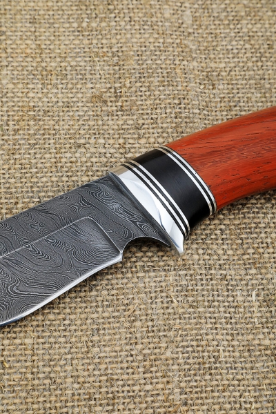 Knife Hedgehog 2 Damascus handle paduk black hornbeam