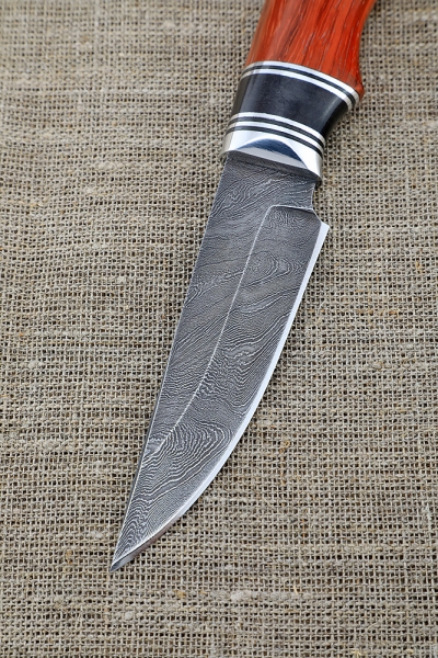 Knife Doe Damascus handle black hornbeam paduk