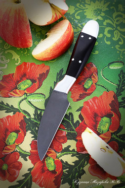 Vegetable knife H12MF all-metal duralumin black hornbeam
