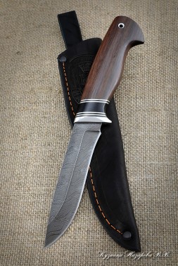 Knife Falcon Damascus handle black hornbeam rosewood