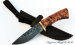 Knife Cheetah Damascus stone Karelian birch
