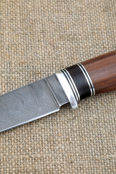 Knife Leopard Damascus handle black hornbeam rosewood