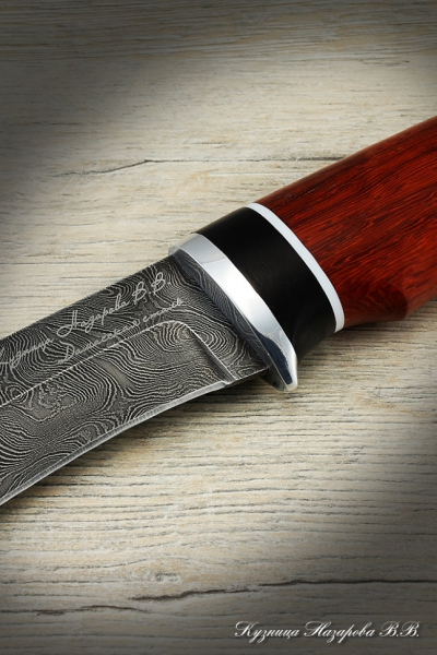Hunting knife Gyrfalcon Damascus black hornbeam paduk (inscription)