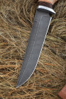 Sapper Knife Damascus birch bark