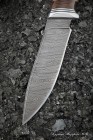 Knife Fox Damascus handle birch bark