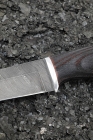 Knife Bison Damascus handle ash brushed