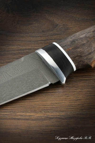 Hunting knife Boar H12MF black hornbeam stabilized Karelian birch (brown)