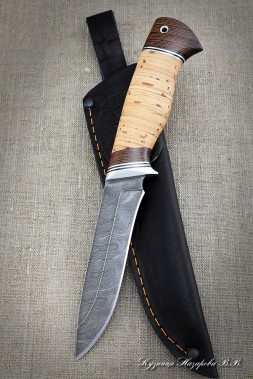 Knife Falcon Damascus birch bark
