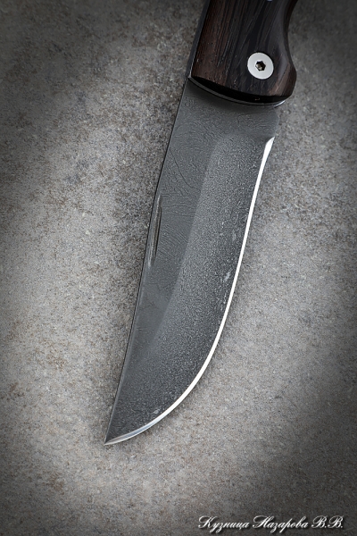 Folding knife Taiga steel H12MF lining wenge