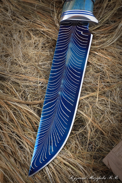 Knife Gadfly 2 Damascus end with bluing Karelian birch blue