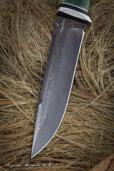 Knife Boar Damascus laminated with bluing Karelian birch green