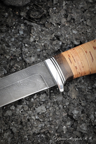 Knife Cardinal-2 Damascus handle birch bark
