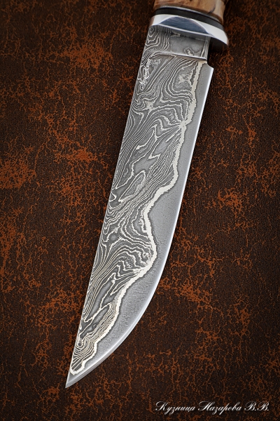 Knife Zasapozhny Damascus laminated handle Karelian birch elk horn