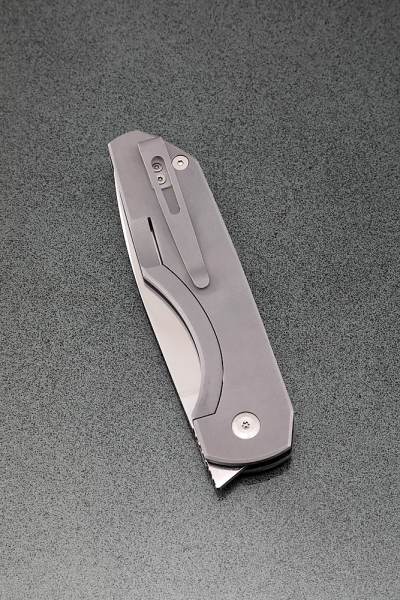 Folding knife Cayman steel Elmax lining carbon + AUS8 (bearings, clip)