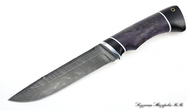 Knife Boar Damascus black hornbeam stabilized Karelian birch (purple)