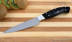 Knife Chef No. 2 steel 95h18 handle acrylic black