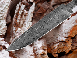 The blade of the Moray Eel Damascus