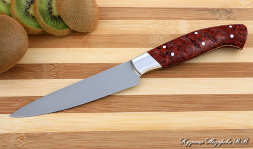Knife Chef No. 2 steel 95h18 handle acrylic red