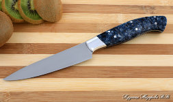 Knife Chef No. 2 steel 95h18 handle acrylic blue