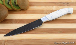 Knife Chef No. 2 steel H12MF handle acrylic white