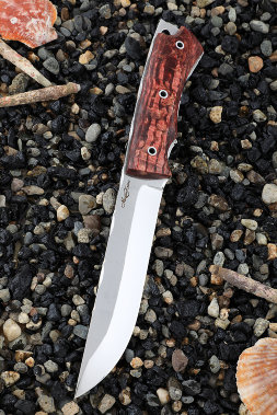 Нож Овод 2 Х12МФ цельнометаллический карельская береза красная (Coutellia)