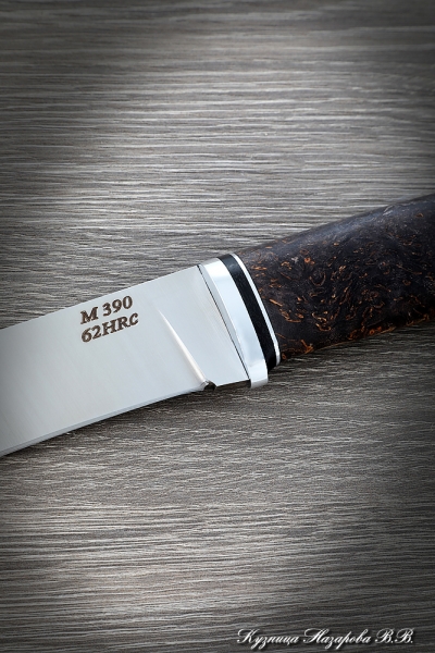 Knife Taiga steel M390 handle Karelian birch brown