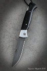 Folding knife Wolf steel H12MF lining Acrylic black with duralumin